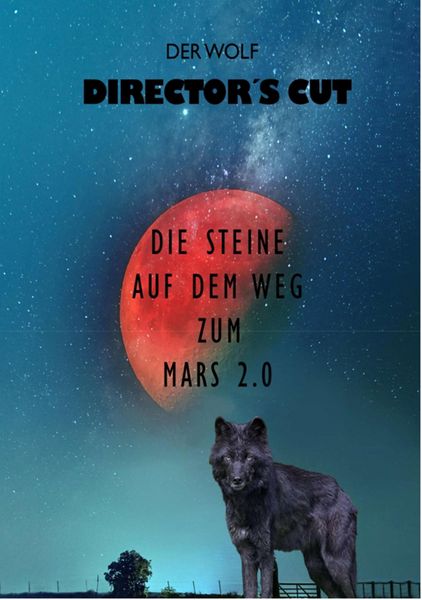 Produktbild: Director's Cut