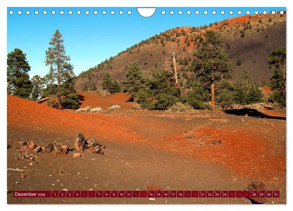 Produktbild: Arizona &bull; Impressionen (Wandkalender 2026 DIN A4 quer), CALVENDO Monatskalender