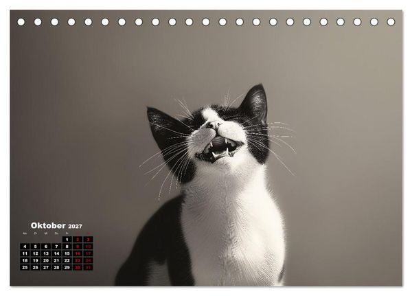 Produktbild: Auch Katzen lachen gern (Tischkalender 2027 DIN A5 quer), CALVENDO Monatskalender