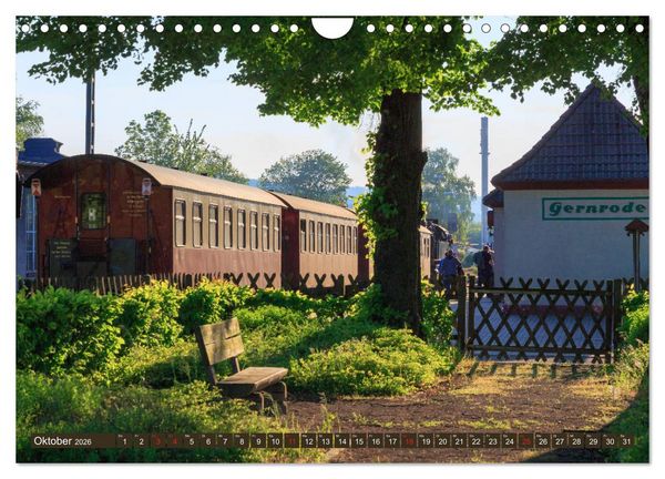 Produktbild: Ein Sommertag in Gernrode (Wandkalender 2026 DIN A4 quer), CALVENDO Monatskalender