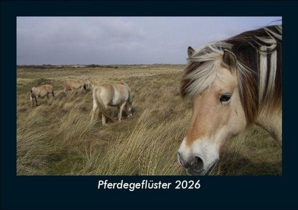 Pferdegeflüster 2026 Fotokalender DIN A5