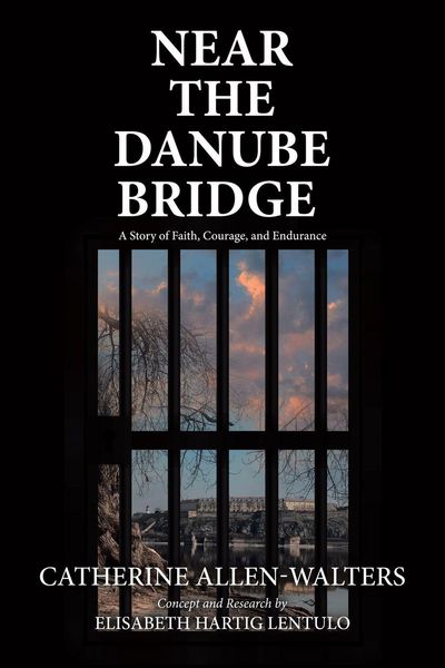 Produktbild: Near the Danube Bridge