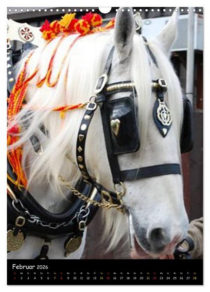 Produktbild: Shire Horse - Geschm&uuml;ckte Riesen (Wandkalender 2026 DIN A3 hoch), CALVENDO Monatskalender
