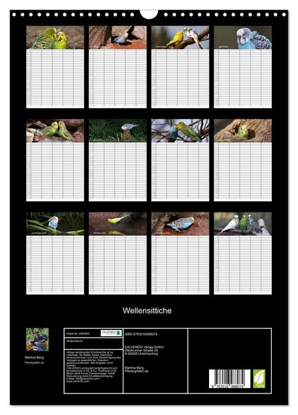 Produktbild: Wellensittiche (Wandkalender 2026 DIN A3 hoch), CALVENDO Monatskalender