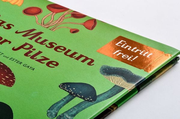 Produktbild: Das Museum der Pilze