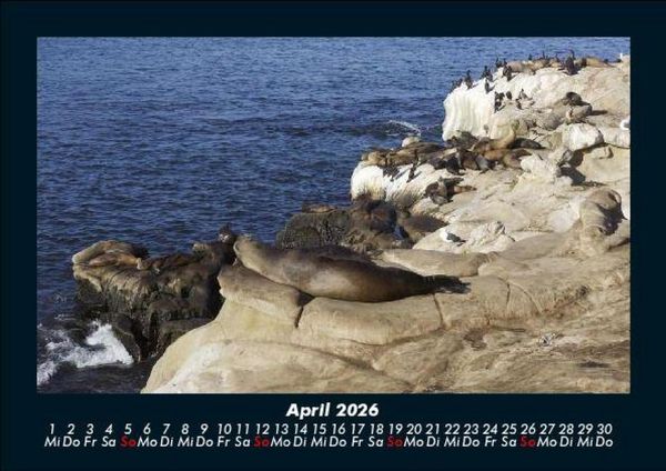 Produktbild: Seeblick 2026 Fotokalender DIN A5