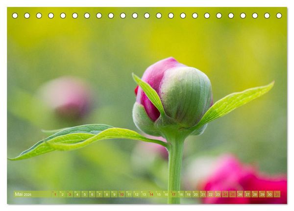Produktbild: Die Poesie der Pflanzenwelt - Im Wandel der Jahreszeiten (Tischkalender 2026 DIN A5 quer), CALVENDO Monatskalender