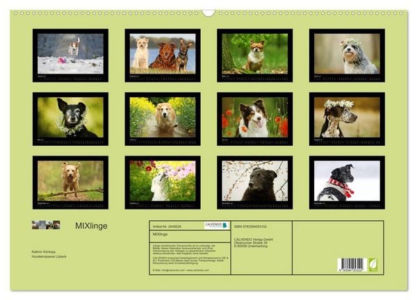 Produktbild: MIXlinge (Wandkalender 2027 DIN A2 quer), CALVENDO Monatskalender