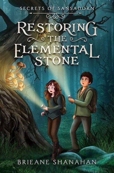 Produktbild: Restoring the Elemental Stone