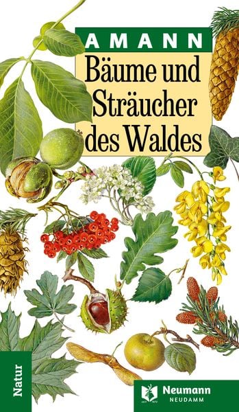 Bäume und Sträucher des Waldes, Gebundene Ausgabe von Gottfried Amann, J. Neumann-Neudamm Melsungen, 978-3-7888-2102-9