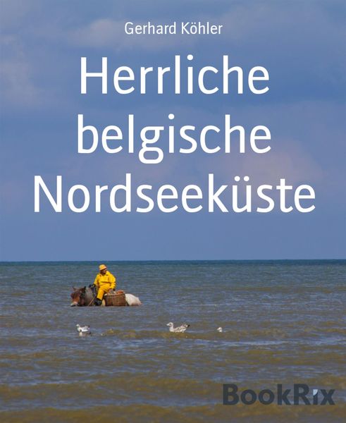 Produktbild: Herrliche belgische Nordseek&uuml;ste