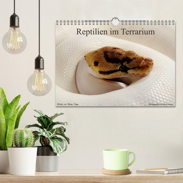 Produktbild: REPTILIEN IM TERRARIUM (Wandkalender 2026 DIN A4 quer), CALVENDO Monatskalender