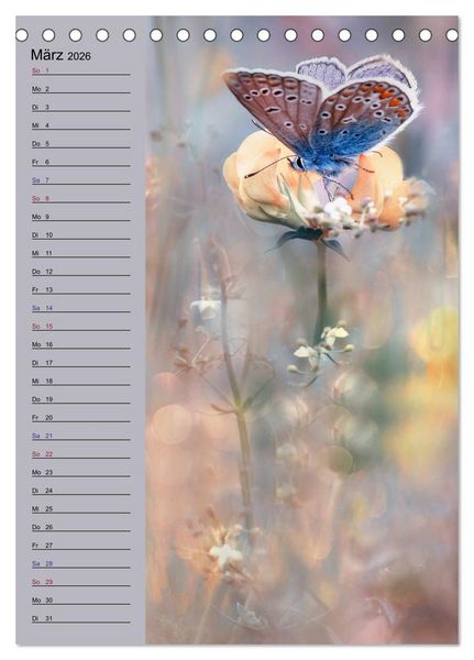 Produktbild: Pastell-Zauber (Tischkalender 2026 DIN A5 hoch), CALVENDO Monatskalender