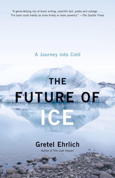 Produktbild: The Future of Ice