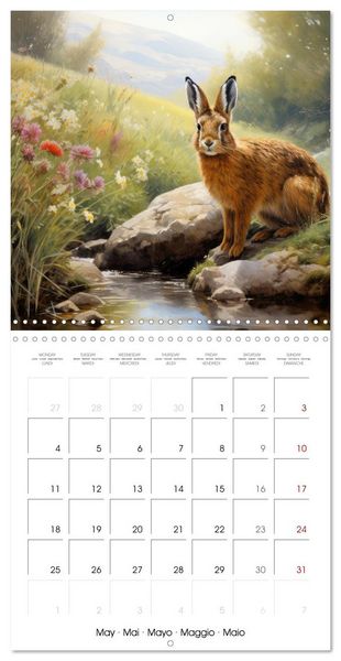 Produktbild: Des amours de lapins (Calendrier mural carr&eacute; 2026 30x30 cm) Calendrier double avec une page pour vos prises de notes