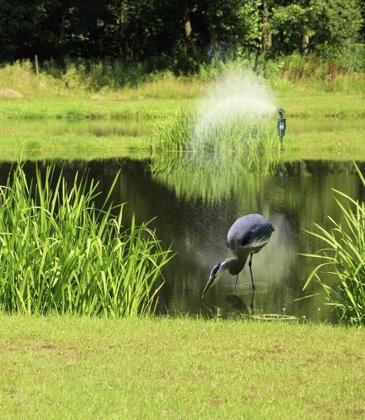 Produktbild: Gardigo Tierabwehrger&auml;t Funktionsart Wasserstrahl 1St.