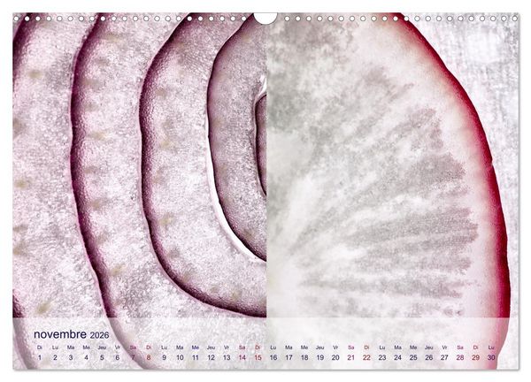 Produktbild: C&oelig;ur de fruits c&oelig;ur de l&eacute;gumes (Calendrier mural 2026 DIN A3 vertical), CALVENDO calendrier mensuel