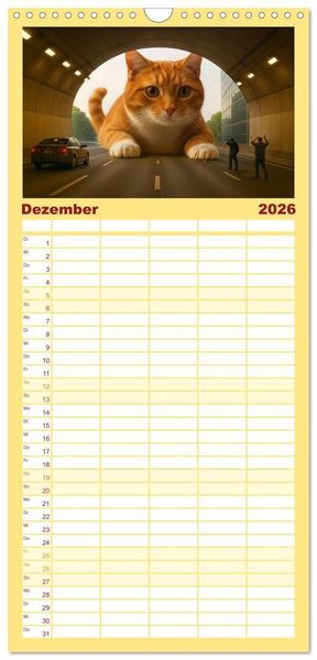 Produktbild: Familienplaner 2026 - Katzen Weltherrschaft mit 5 Spalten (Wandkalender, 21 x 45 cm) CALVENDO