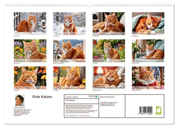 Produktbild: Rote Katzen (hochwertiger Premium Wandkalender 2026 DIN A2 quer), Kunstdruck in Hochglanz