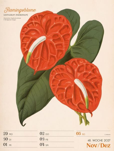 Produktbild: Ars Floralis Wochenplaner Kalender 2027