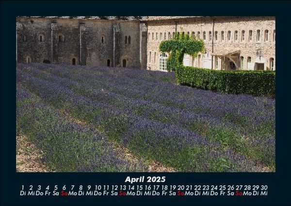 Produktbild: Blumenkalender 2025 Fotokalender DIN A5