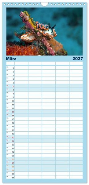 Produktbild: Familienplaner 2027 - Meeres-Schnecken mit 5 Spalten (Wandkalender, 21 x 45 cm) CALVENDO