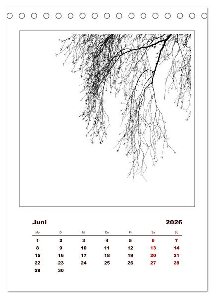 Produktbild: LignoGrafica - Muster und Strukturen der B&auml;ume (Tischkalender 2026 DIN A5 hoch), CALVENDO Monatskalender