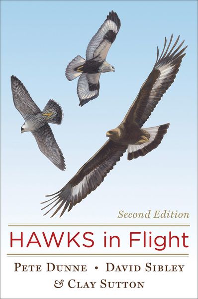 Produktbild: Hawks in Flight
