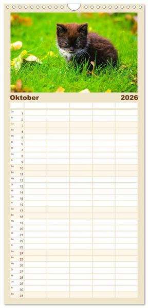 Produktbild: Familienplaner 2026 - Geliebte Tiere auf dem Bauernhof mit 5 Spalten (Wandkalender, 21 x 45 cm) CALVENDO