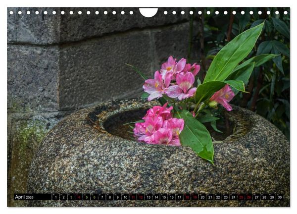 Produktbild: Kyotos Tempel - Bilder aus Japan (Wandkalender 2026 DIN A4 quer), CALVENDO Monatskalender