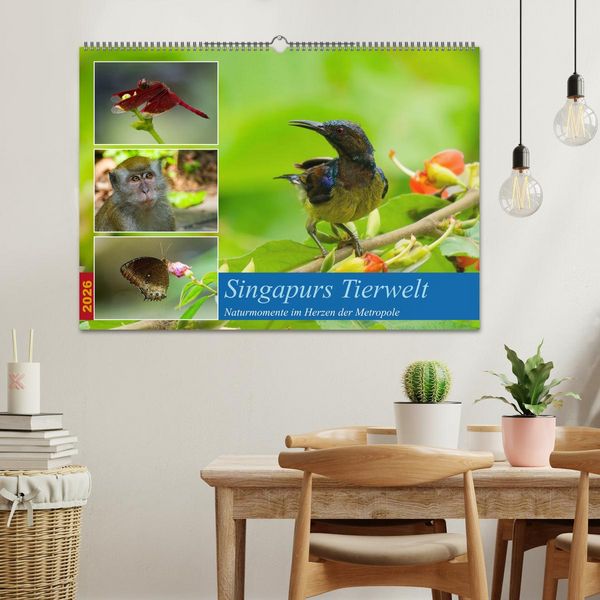 Produktbild: Singapurs Tierwelt (Wandkalender 2026 DIN A2 quer), CALVENDO Monatskalender