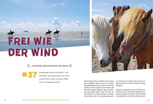 Produktbild: 52 kleine & gro&szlig;e Eskapaden in Schleswig-Holstein an der Nordsee