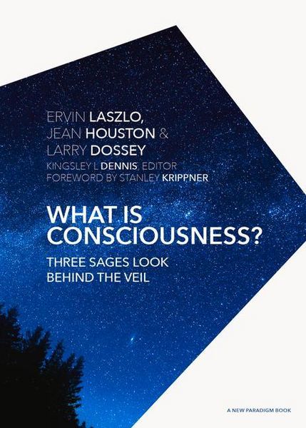 Produktbild: What Is Consciousness?