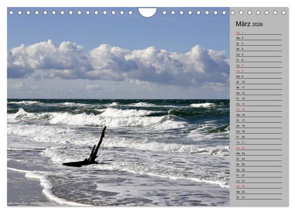 Produktbild: Die Ostsee (Wandkalender 2026 DIN A4 quer), CALVENDO Monatskalender