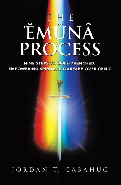 Produktbild: The Emuna Process