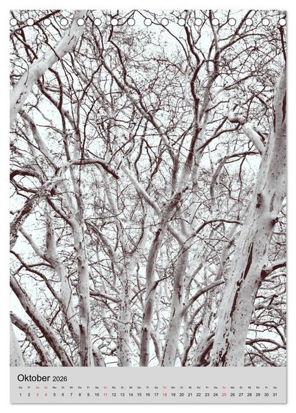 Produktbild: Natur monochrom Die besondere Wirkung (Tischkalender 2026 DIN A5 hoch), CALVENDO Monatskalender