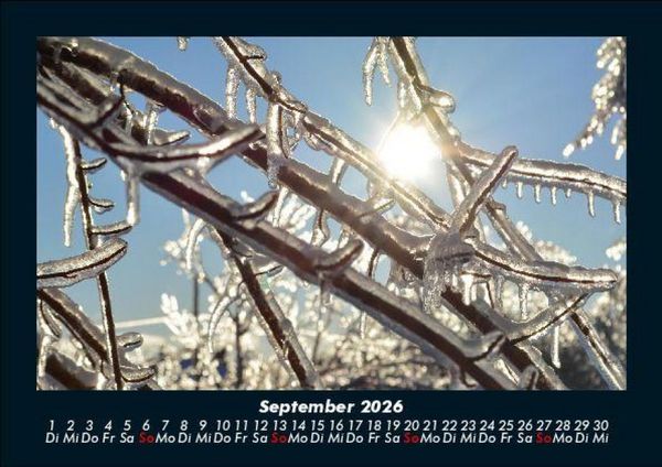 Produktbild: Natur 2026 Fotokalender DIN A5