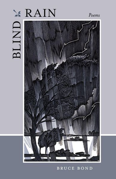 Produktbild: Blind Rain