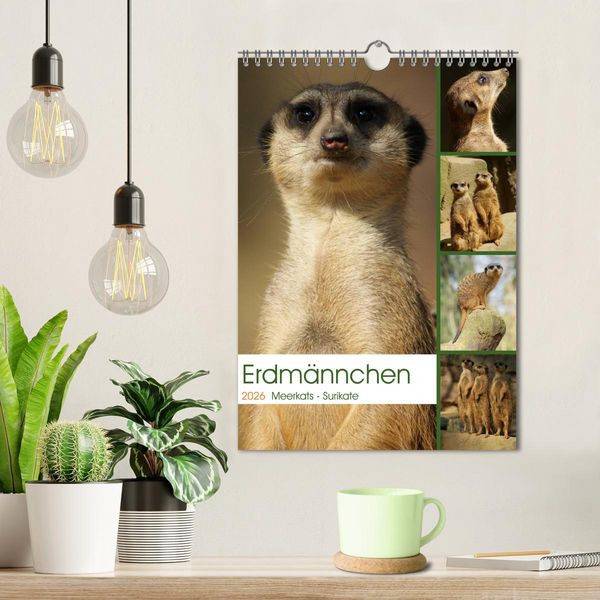 Produktbild: Erdm&auml;nnchen-Meerkats-Surikate (Wandkalender 2026 DIN A4 hoch), CALVENDO Monatskalender
