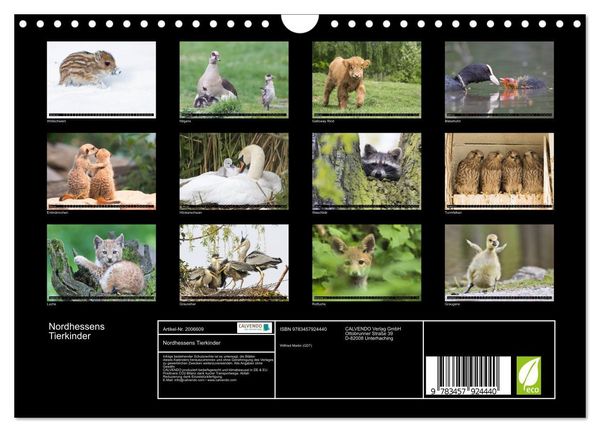 Produktbild: Nordhessens Tierkinder (Wandkalender 2026 DIN A4 quer), CALVENDO Monatskalender