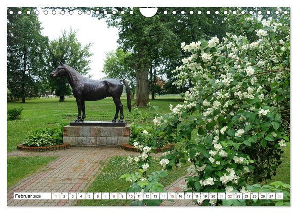 Produktbild: Mythos Trakehnen - Paradies ohne Pferde (Wandkalender 2026 DIN A4 quer), CALVENDO Monatskalender