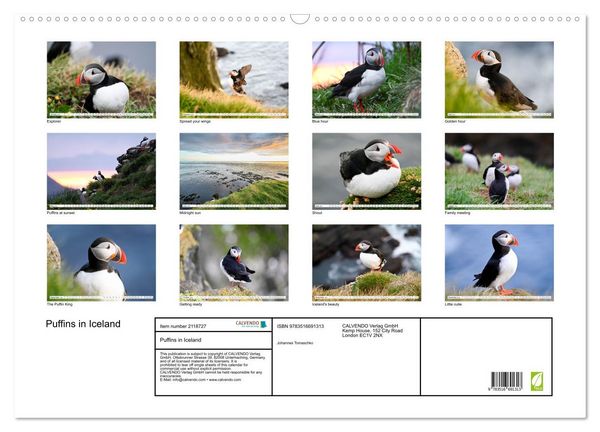 Produktbild: Puffins in Iceland (Wall Calendar 2026 DIN A2 landscape), CALVENDO 12 Month Wall Calendar