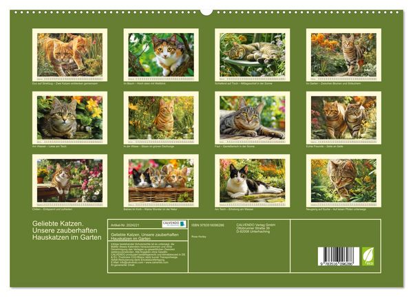 Produktbild: Geliebte Katzen. Unsere zauberhaften Hauskatzen im Garten (hochwertiger Premium Wandkalender 2026 DIN A2 quer), Kunstdruck in Hochglanz