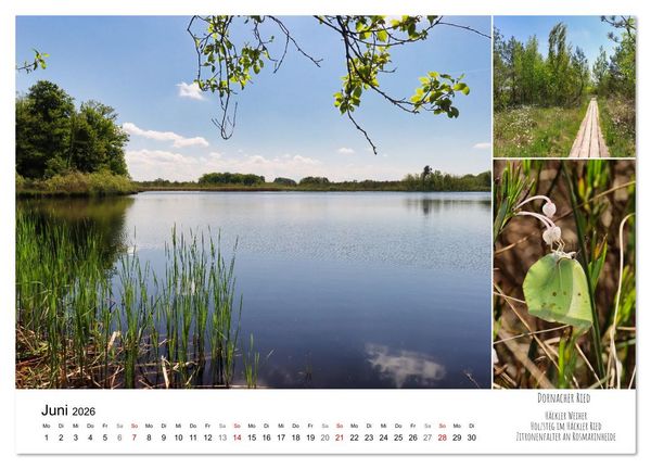 Produktbild: Schwabens Riede und Moore (Wandkalender 2026 DIN A2 quer), CALVENDO Monatskalender