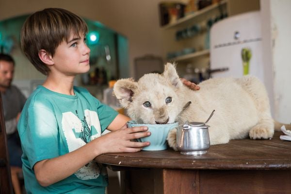 Produktbild: Mia und der wei&szlig;e L&ouml;we