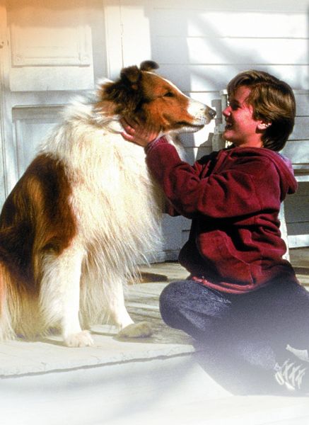 Produktbild: Lassie
