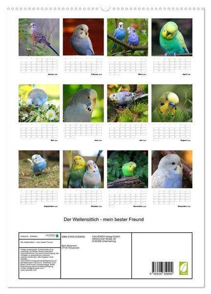 Produktbild: Der Wellensittich - mein bester Freund (hochwertiger Premium Wandkalender 2026 DIN A2 hoch), Kunstdruck in Hochglanz