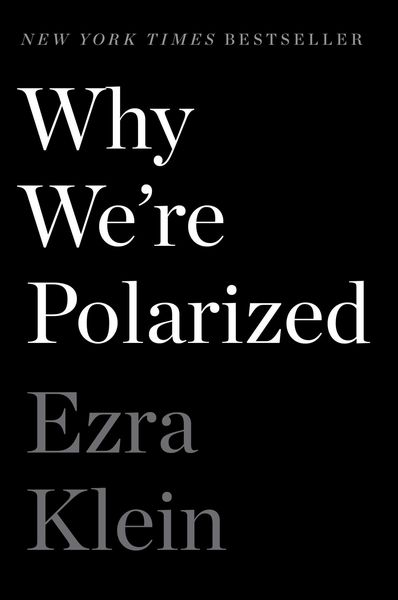 Produktbild: Why We're Polarized
