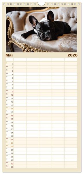 Produktbild: Familienplaner 2026 - Kleine K&ouml;nige - Franz&ouml;sische Bulldoggen mit 5 Spalten (Wandkalender, 21 x 45 cm) CALVENDO