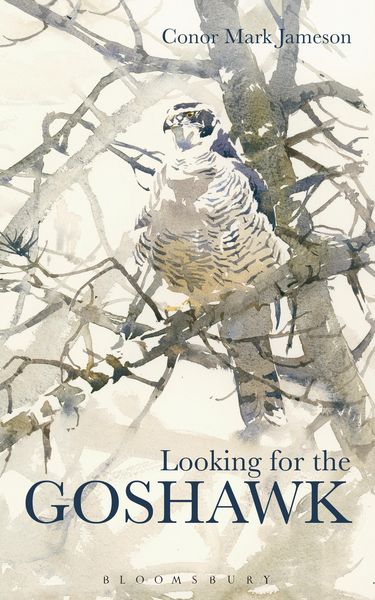 Produktbild: Looking for the Goshawk